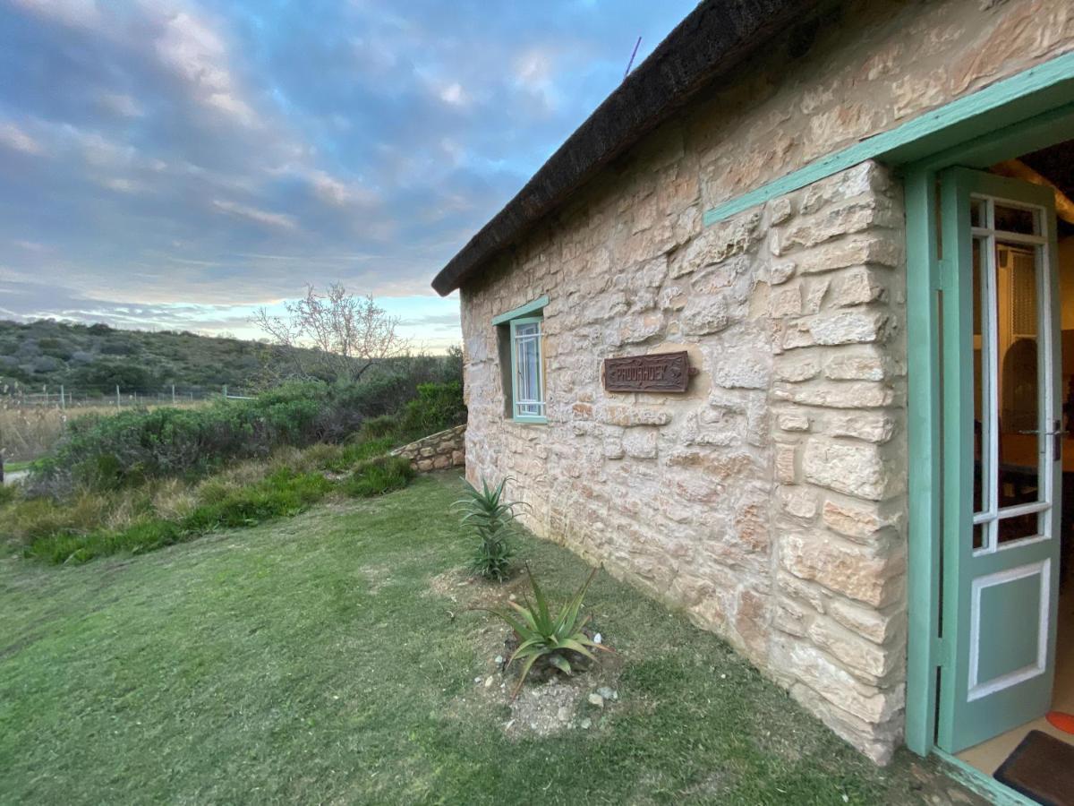 Holiday home Paddahoek *